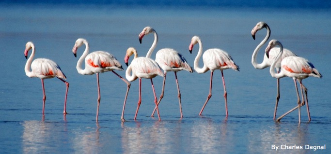  Newsletter - June 2016