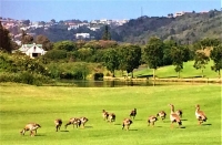 The Goose Valley Golf Committee Grapevine March 2017