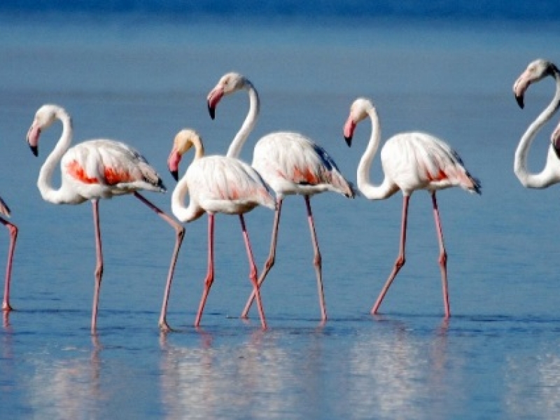  Newsletter - June 2016