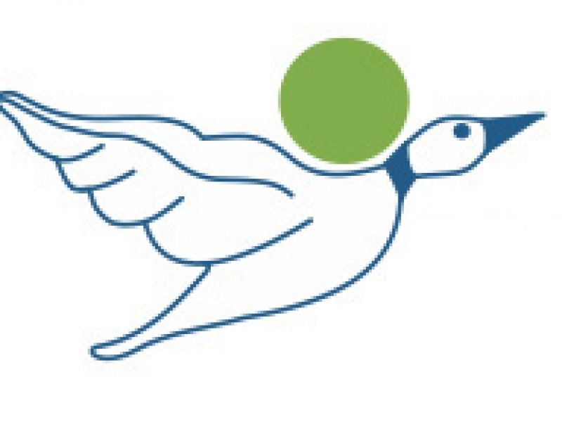  The Goose Valley Golf Committee Grapevine July 2018