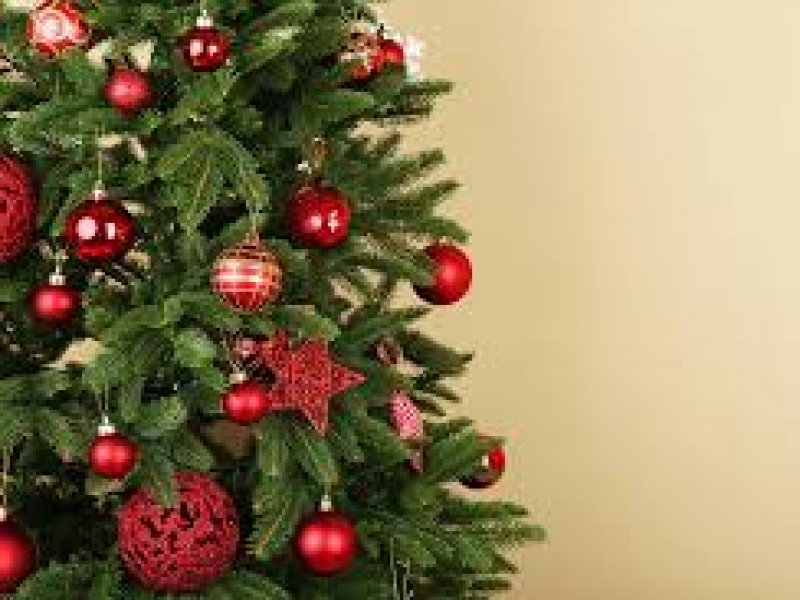 Newsletter - December 2016